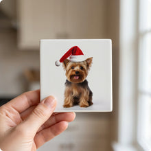 Silky Terrier ceramic coasters set of 4, in hand