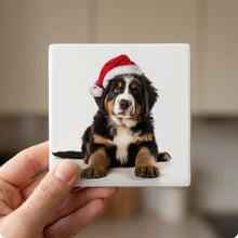 Greater Swiss Mountain Dog Puppy ceramic coasters set of 4, in hand