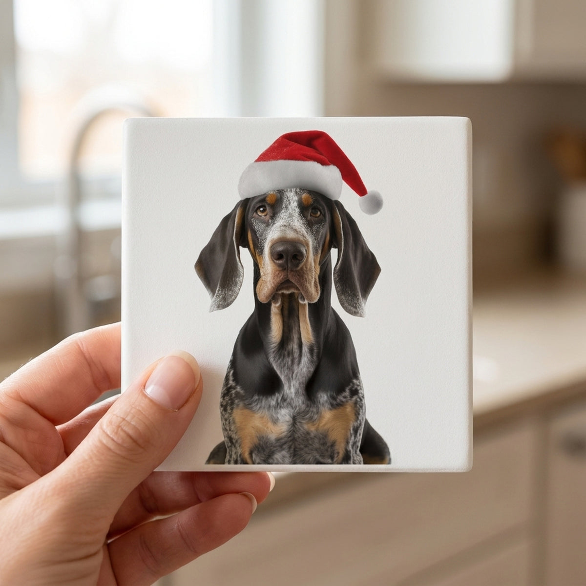 Bluetick Coonhound ceramic coasters set of 4, in hand