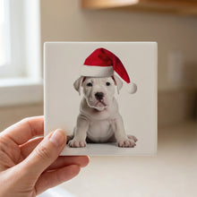 Dogo Argentino Puppy ceramic coasters set of 4, in hand