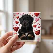 Bernedoodle ceramic coasters set of 4, in hand
