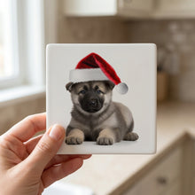 Norwegian Elkhound Puppy ceramic coasters set of 4, in hand