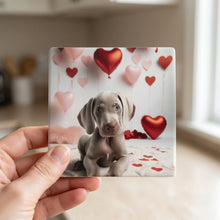 Weimaraner ceramic coasters set of 4, in hand