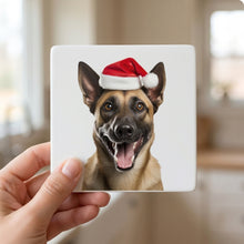 Belgian Malinois ceramic coasters set of 4, in hand