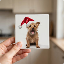 Australian Terrier ceramic coasters set of 4, in hand