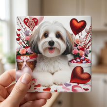 Havanese ceramic coasters set of 4, in hand