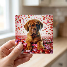 Dogue de Bordeaux ceramic coasters set of 4, in hand