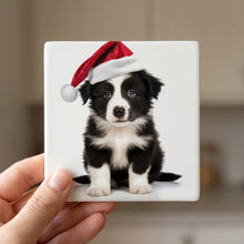 Border Collie Puppy ceramic coasters set of 4, in hand
