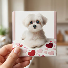Maltese ceramic coasters set of 4, in hand