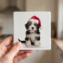 Tibetan Terrier Puppy ceramic coasters set of 4, in hand