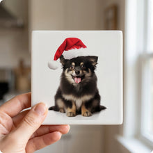 Mudi ceramic coasters set of 4, in hand