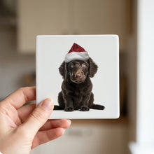 Curly-Coated Retriever Puppy ceramic coasters set of 4, in hand