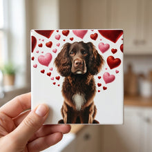 Boykin Spaniel ceramic coasters set of 4, in hand