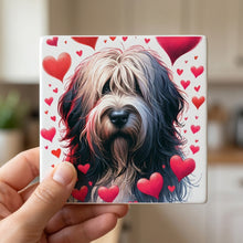 Bearded Collie ceramic coasters set of 4, in hand