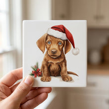 Wirehaired Vizsla Puppy Drawing ceramic coasters set of 4, in hand