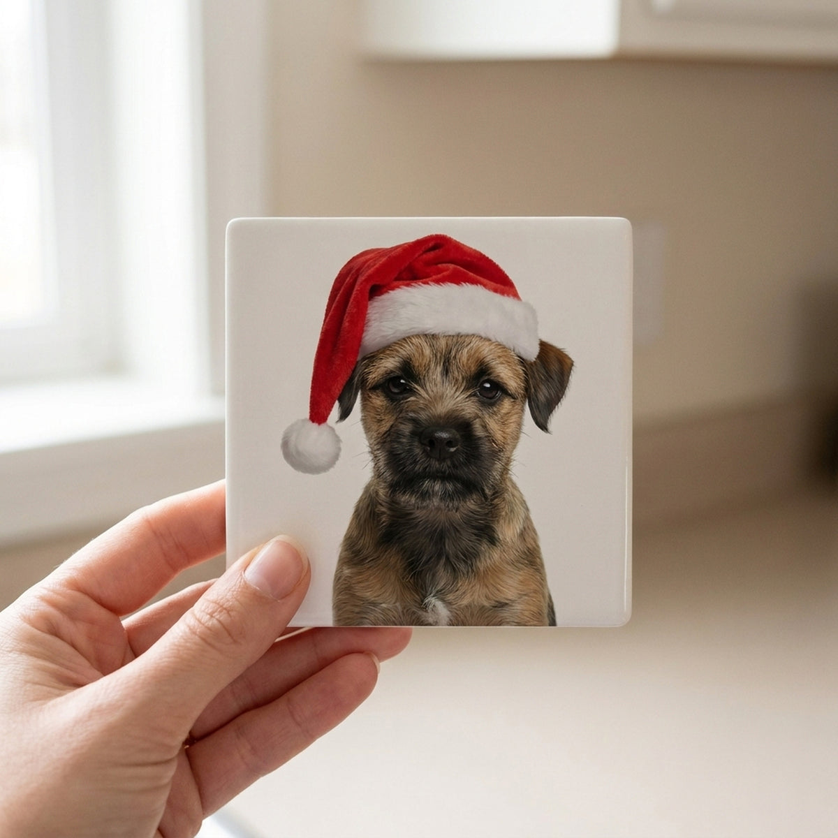 Border Terrier Puppy ceramic coasters set of 4, in hand