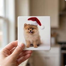 Pomeranian Puppy ceramic coasters set of 4, in hand