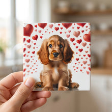 Cocker Spaniel ceramic coasters set of 4, in hand
