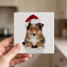 Shetland Sheepdog Puppy ceramic coasters set of 4, in hand