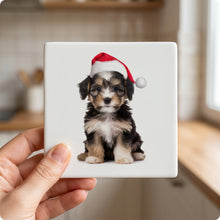 Löwchen Puppy ceramic coasters set of 4, in hand
