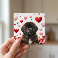 Newfoundland ceramic coasters set of 4, in hand