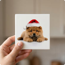 Chow Chow Puppy ceramic coasters set of 4, in hand