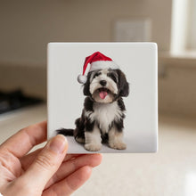 Tibetan Terrier ceramic coasters set of 4, in hand