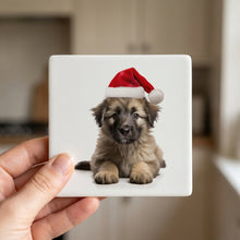 Pyrenean Shepherd Puppy ceramic coasters set of 4, in hand