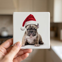 French Bulldog Puppy ceramic coasters set of 4, in hand