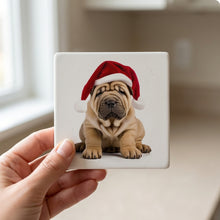 Chinese Shar-Pei Puppy ceramic coasters set of 4, in hand