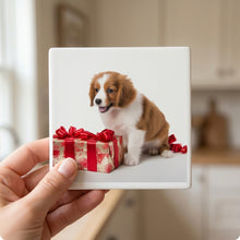 Kooikerhondje Puppy ceramic coasters set of 4, in hand