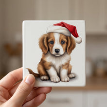 Kooikerhondje Puppy Drawing ceramic coasters set of 4, in hand