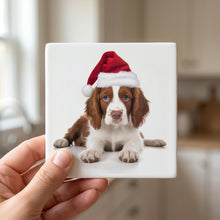 Irish Red and White Setter Puppy ceramic coasters set of 4, in hand