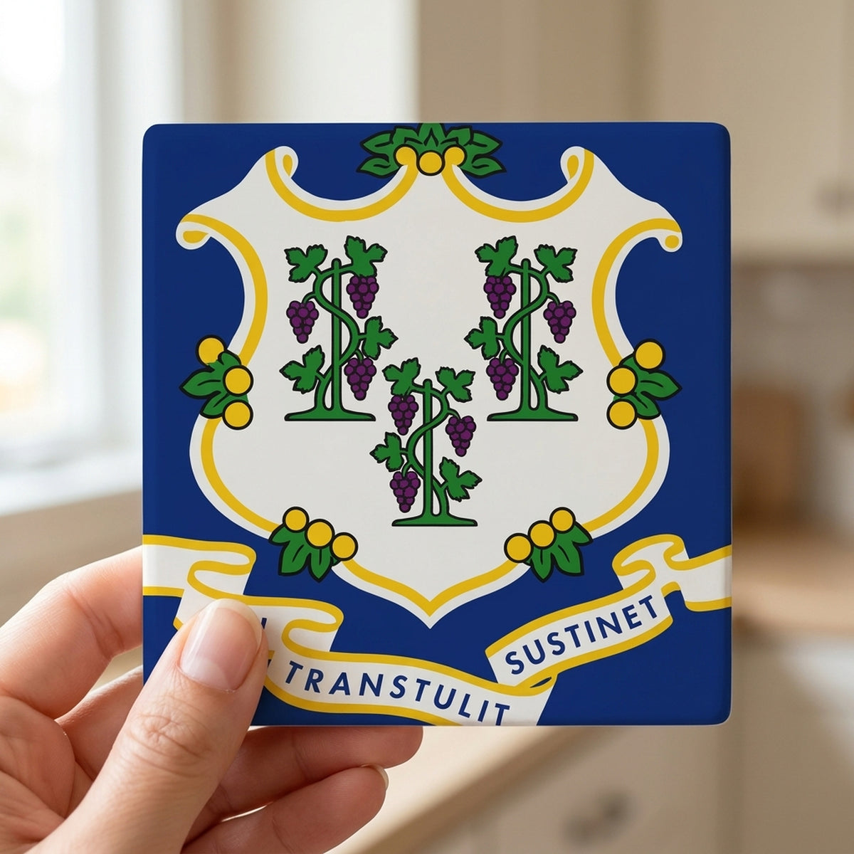 Connecticut State Flag ceramic coasters set of 4, in hand