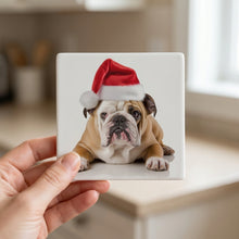 Bulldog ceramic coasters set of 4, in hand