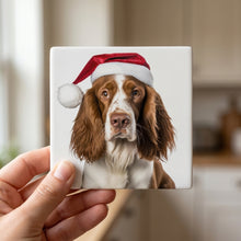 Welsh Springer Spaniel ceramic coasters set of 4, in hand