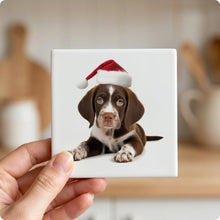 Pointer Puppy ceramic coasters set of 4, in hand