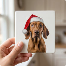 Redbone Coonhound ceramic coasters set of 4, in hand