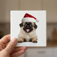Tibetan Spaniel Puppy ceramic coasters set of 4, in hand