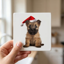Cairn Terrier Puppy ceramic coasters set of 4, in hand
