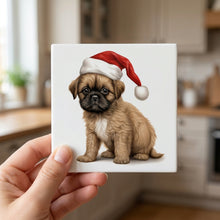 Brussels Griffon Puppy Drawing ceramic coasters set of 4, in hand