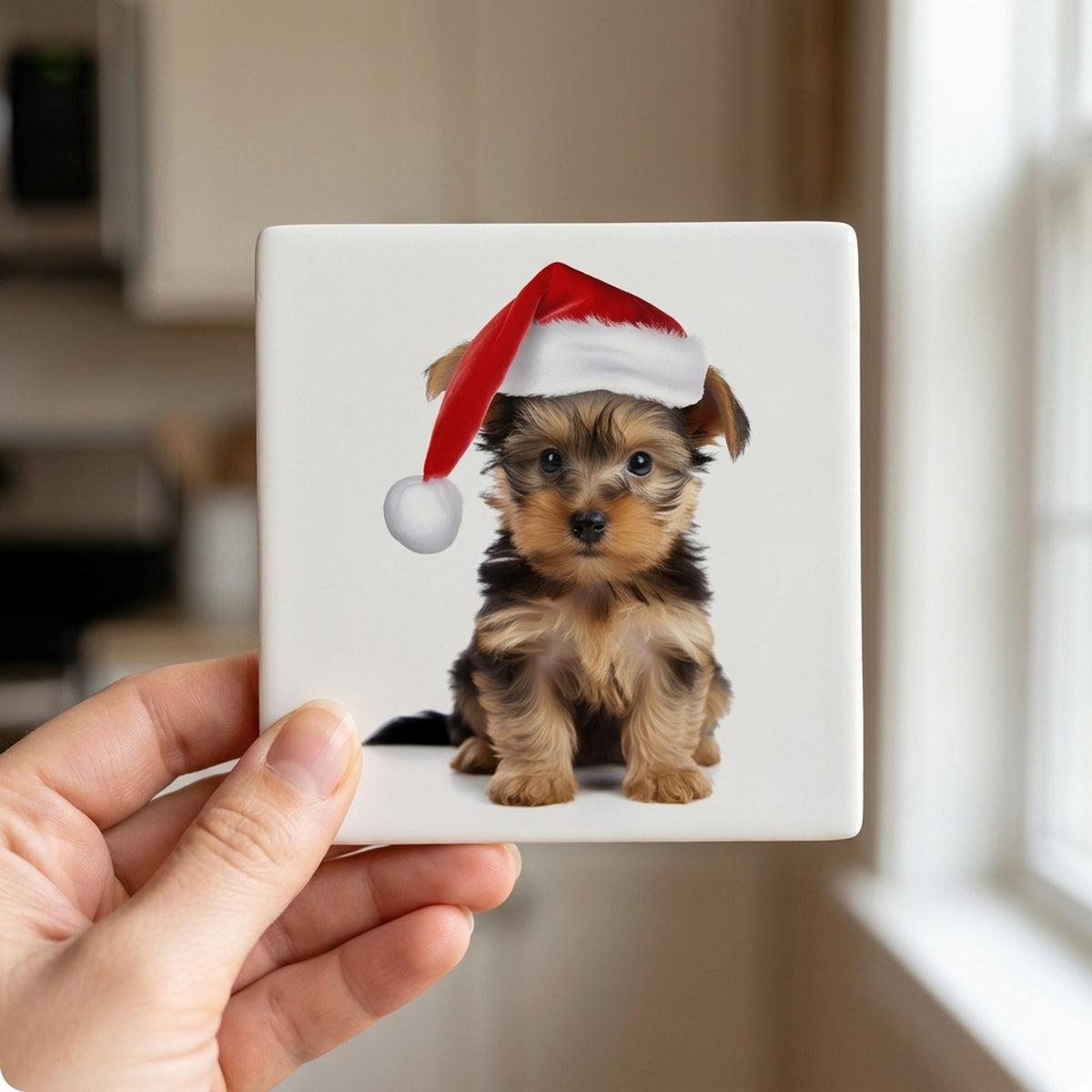 Silky Terrier Puppy ceramic coasters set of 4, in hand