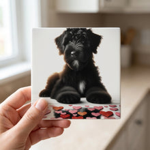 Giant Schnauzer ceramic coasters set of 4, in hand