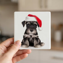 Standard Schnauzer Puppy ceramic coasters set of 4, in hand