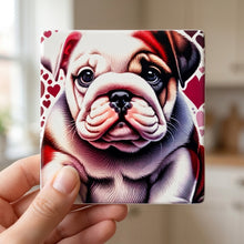Bulldog ceramic coasters set of 4, in hand