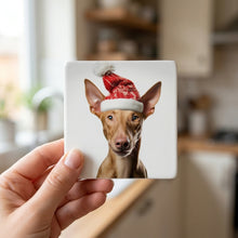Pharaoh Hound ceramic coasters set of 4, in hand
