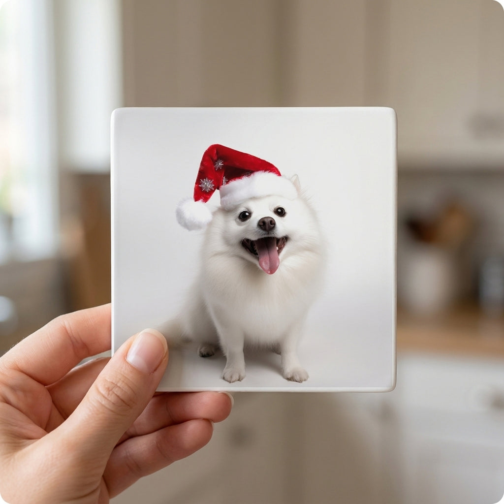 American Eskimo Dog ceramic coasters set of 4, in hand