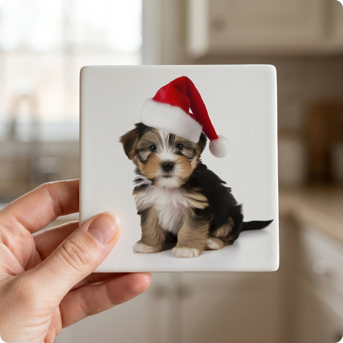 Biewer Terrier Puppy ceramic coasters set of 4, in hand