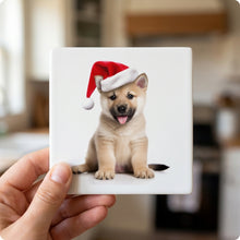 Norwegian Buhund Puppy ceramic coasters set of 4, in hand