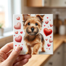 Yorkshire Terrier ceramic coasters set of 4, in hand